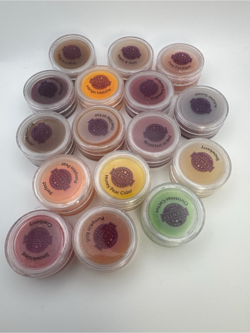 Lot of 16 Scentsy Wax Melt Scent Testers Fall Winter Holiday Scents